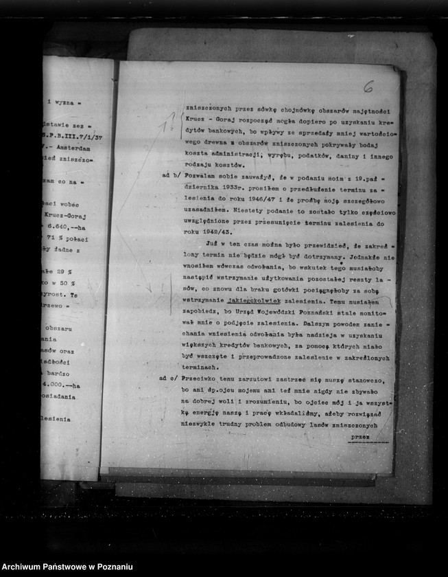 Obraz 12 z jednostki "Sprawa zalesienia majątku Krucz-Goraj"