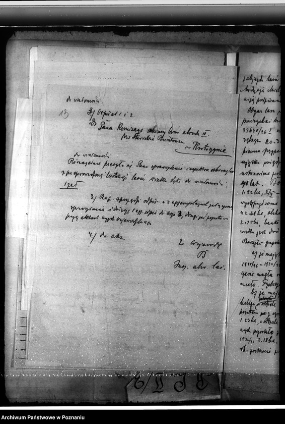 Obraz 17 z jednostki "Majętność leśna Łąka Wielka"