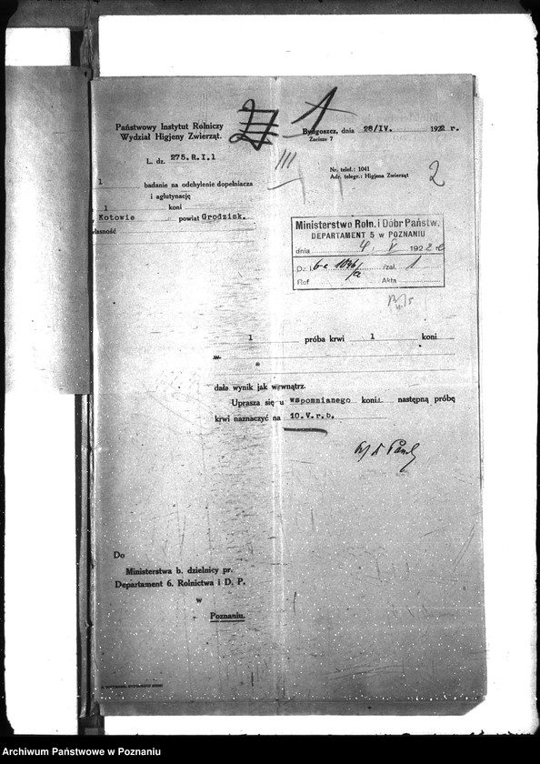 Obraz 6 z jednostki "Nosacizna - Grodzisk"