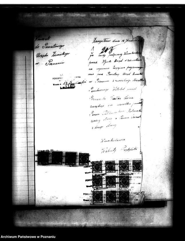 Obraz 5 z jednostki "Parcelacja lasu Witobel XV powiatu poznańskiego Walenty Przybylski"