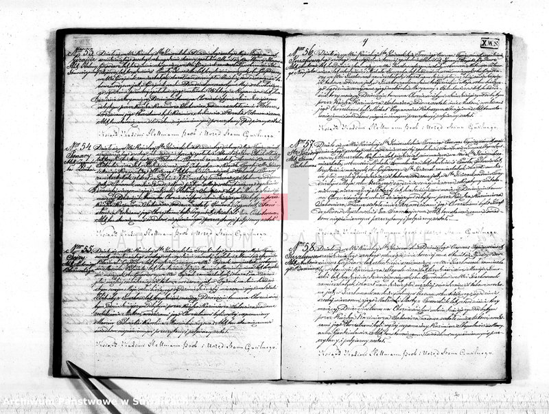 Obraz 11 z jednostki "Akta stanu cywilnego parafij Św. Jeziorskiej urodzonych, zaślubionych i umarłych z roku 1866"