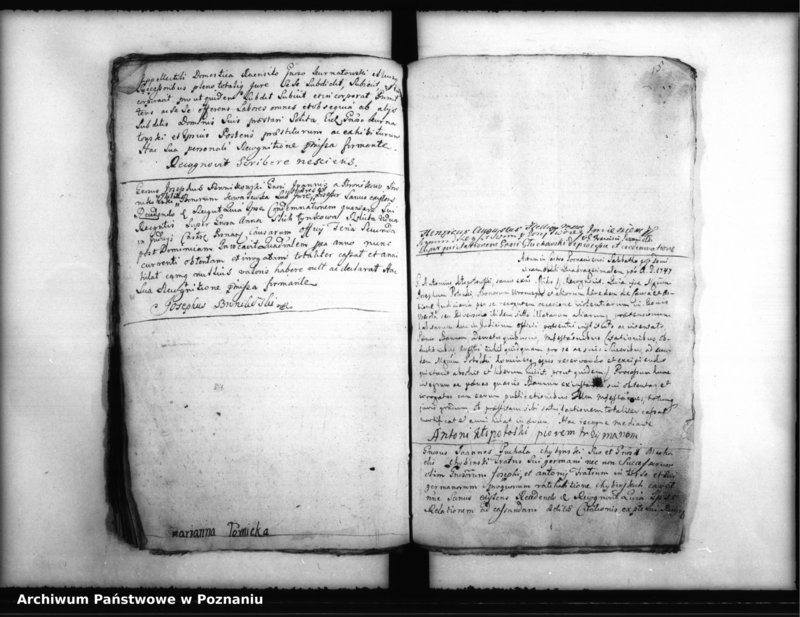 Obraz 20 z jednostki "Inscriptiones, resignationes [protocollon]"