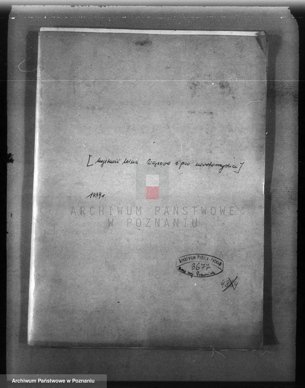 Obraz 4 z jednostki "/Majętność leśna Wąsowo w powiecie nowotomyskim/"