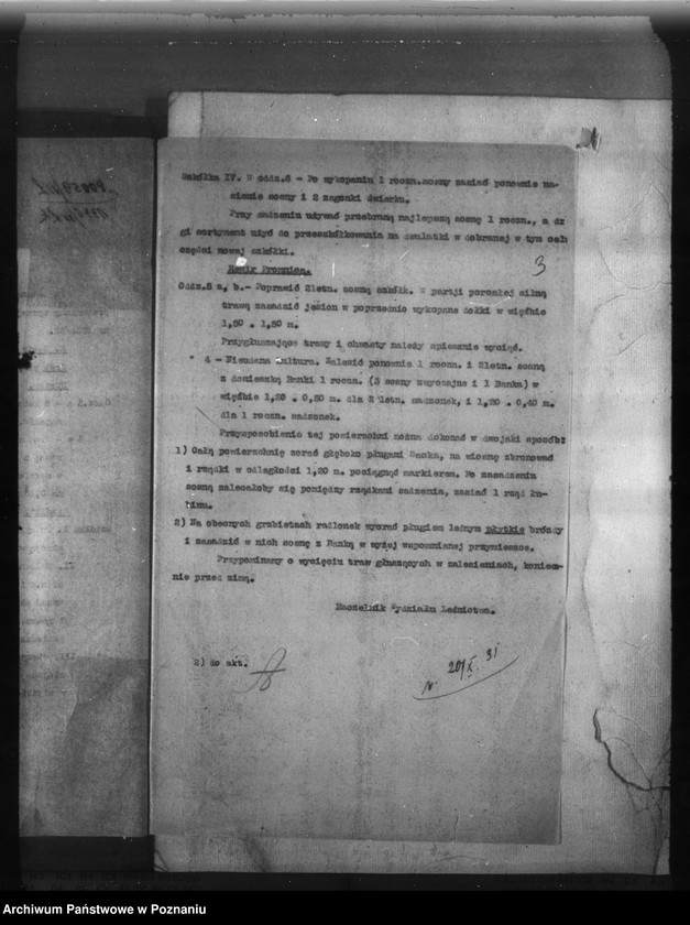 Obraz 7 z jednostki "Bolechowo powiat poznański /nadzór nad gospodarką leśną/"