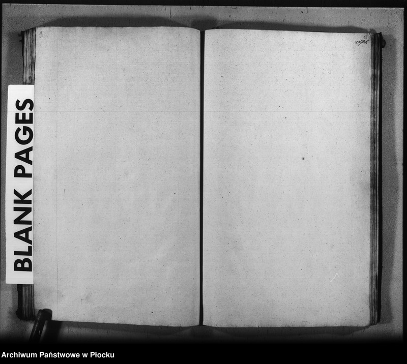 Obraz 19 z jednostki "Akta urodzeń, małżeństw i zgonów"