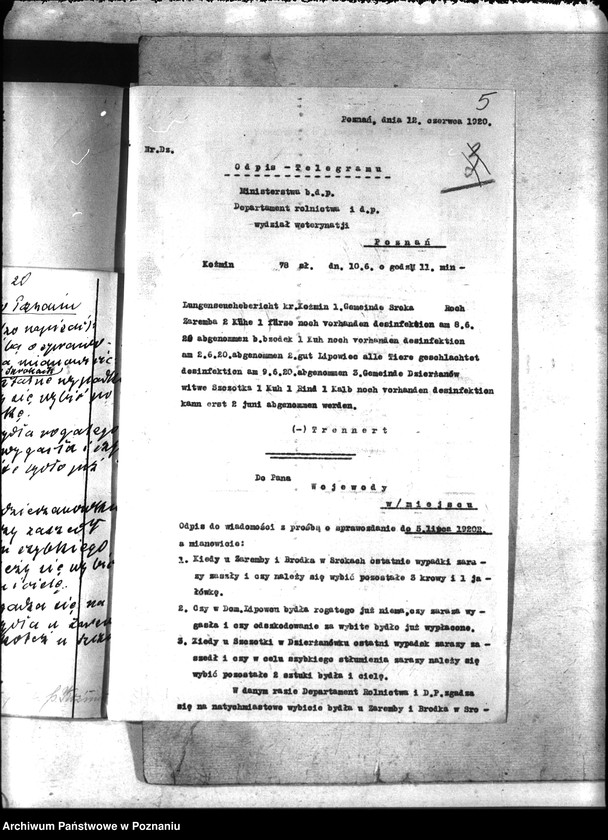 Obraz 9 z jednostki "Zaraza płucna - Koźmin"