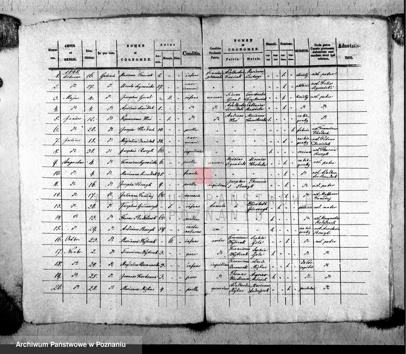 image.from.unit.number "Liber mortuorum"