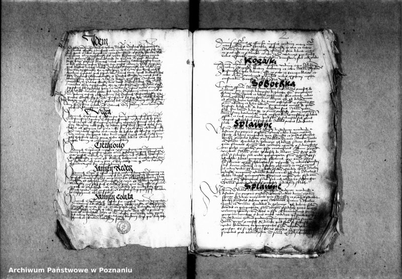 Obraz 7 z jednostki "Inscriptiones, relationes, decreta [inducta]"