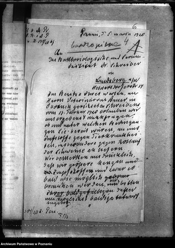 Obraz 8 z jednostki "Szczepionki"