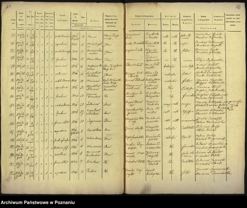 Obraz 13 z jednostki "Księga urodzin"