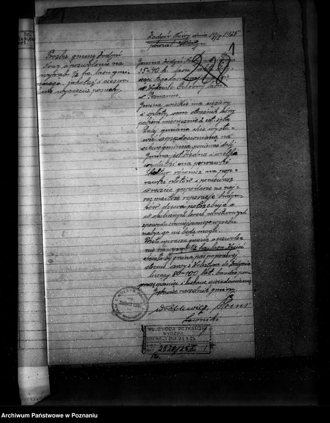 Obraz 5 z jednostki "Las gromady Żodyń Nowy powiat wolsztyński"