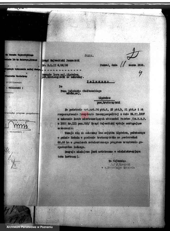 Obraz 8 z jednostki "Las majątku Lipowiec powiat krotoszyński"