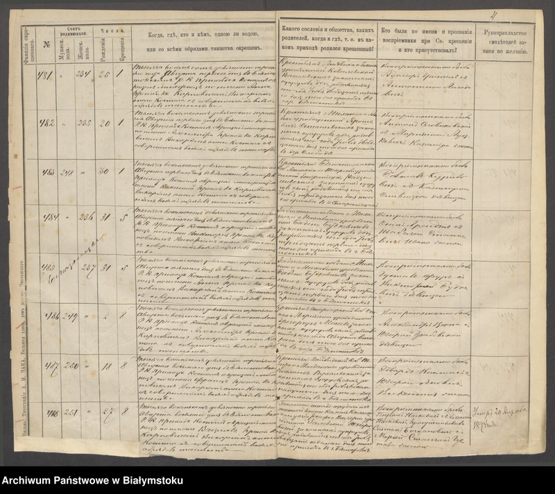 Obraz 7 z jednostki "[Akta urodzeń za lata 1893-1895]"