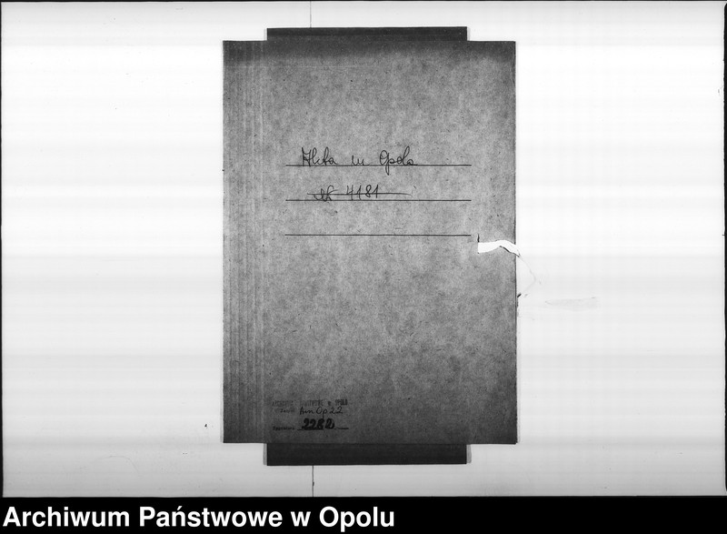 Obraz 4 z jednostki "Acta betr[effend] Naturalisations Urkunde des Bäcker Buchner"