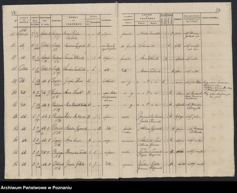 Obraz 17 z jednostki "Księga zgonów"