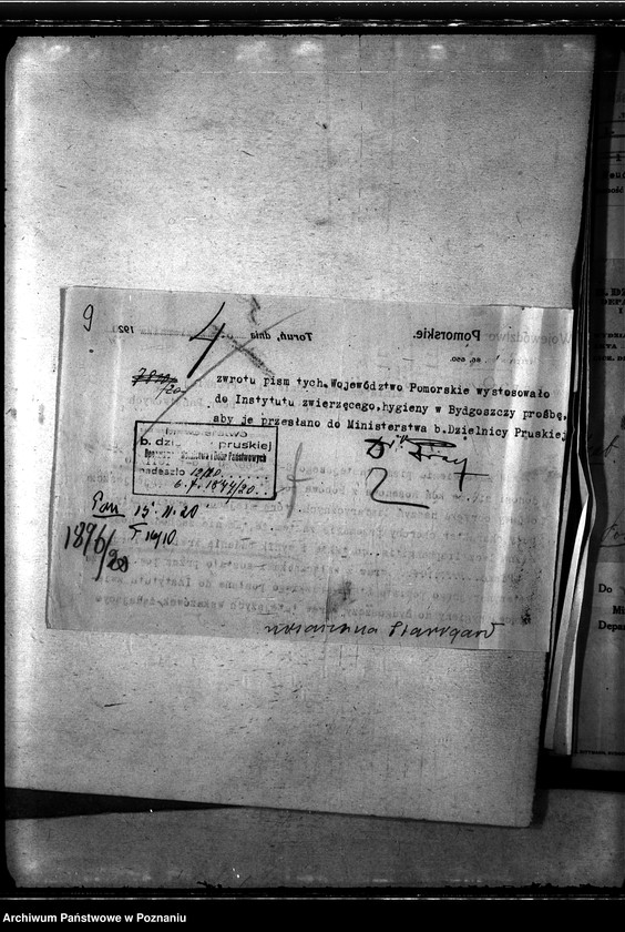 Obraz 13 z jednostki "Nosacizna - Starogard"