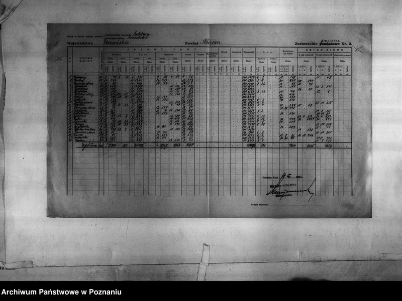 Obraz 18 z jednostki "/Statystyka produkcji rolnej - zestawienie z terenu powiatu kościańskiego"
