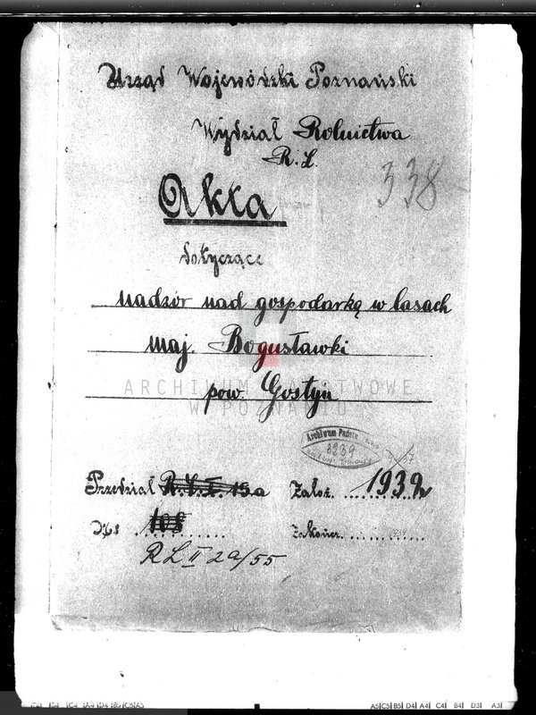 Obraz 3 z jednostki "Nadzór nad gospodarką w lasach majątku Bogusławek w powiecie gostyńskim"