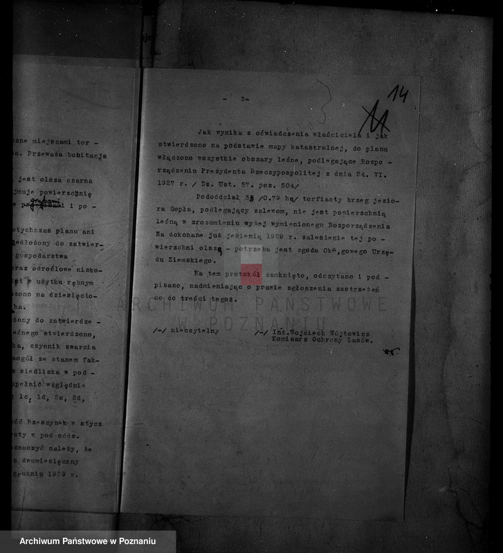 Obraz 19 z jednostki "/Majętność leśna Rzeszynek powiat mogileński"