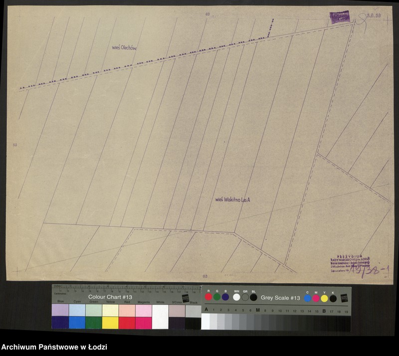 Obraz 1 z jednostki "Plan m. Łodzi 1:2000, odbitki. Sekcja SO 59"