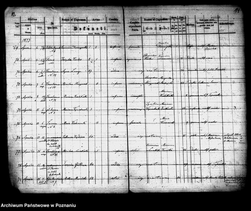 Obraz 8 z jednostki "Księga zgonów"