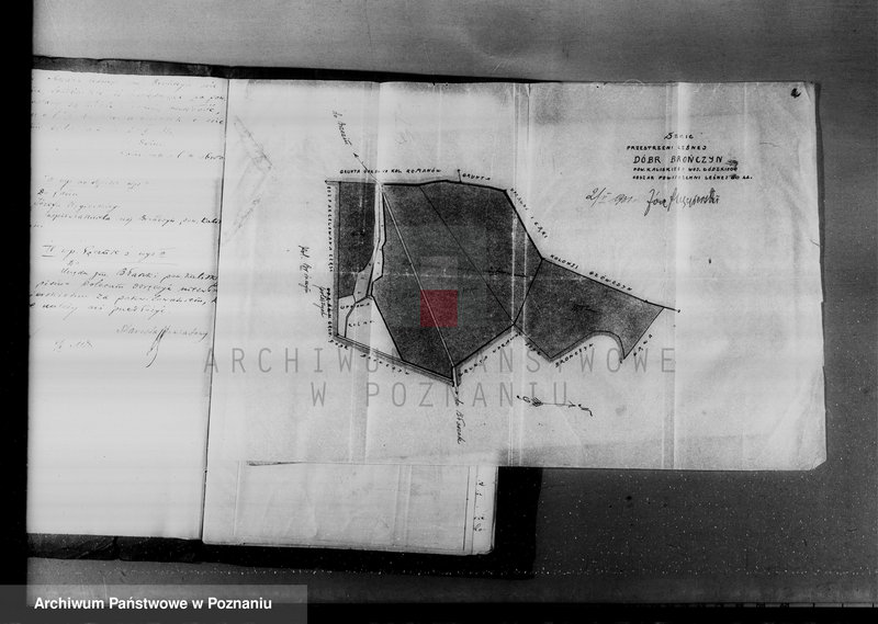 Obraz 16 z jednostki "Zmiana rodzaju użytkowania 40 ha gruntów leśnych w majątku Brańczyn w powiecie kaliskim"