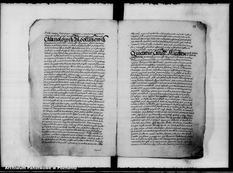 Obraz 14 z jednostki "Inscriptiones, relationes [inducta]"