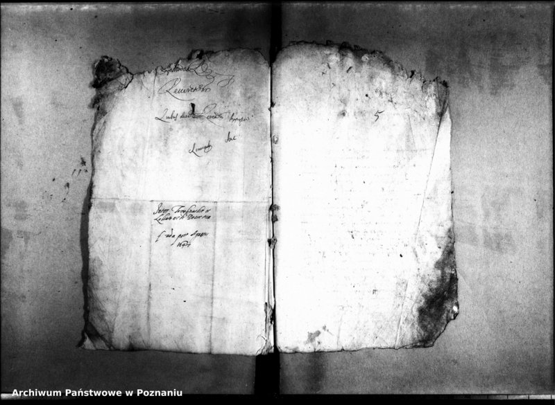 Obraz 7 z jednostki "Decreta officii [inducta]"