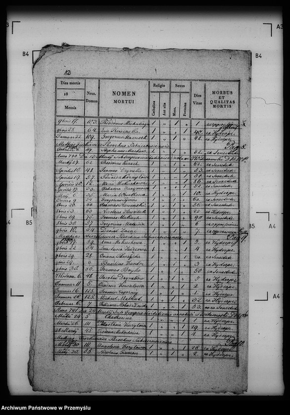 Obraz 16 z jednostki "[Kopie ksiąg metrykalnych parafii Siebieczów z filią Leszczaków (dekanat Bełz)]"