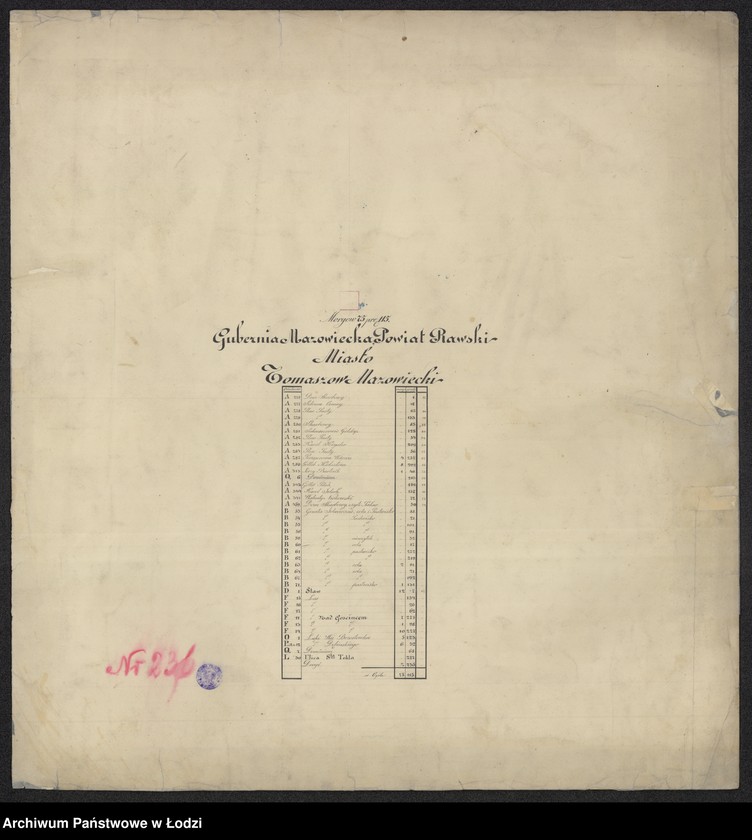 Obraz 10 z jednostki "Pierworys pomiaru territorium Miasta Tomaszowa Mazowieckiego z przyległymi gruntami i lasami do dóbr Tomaszowa należącymi ..."