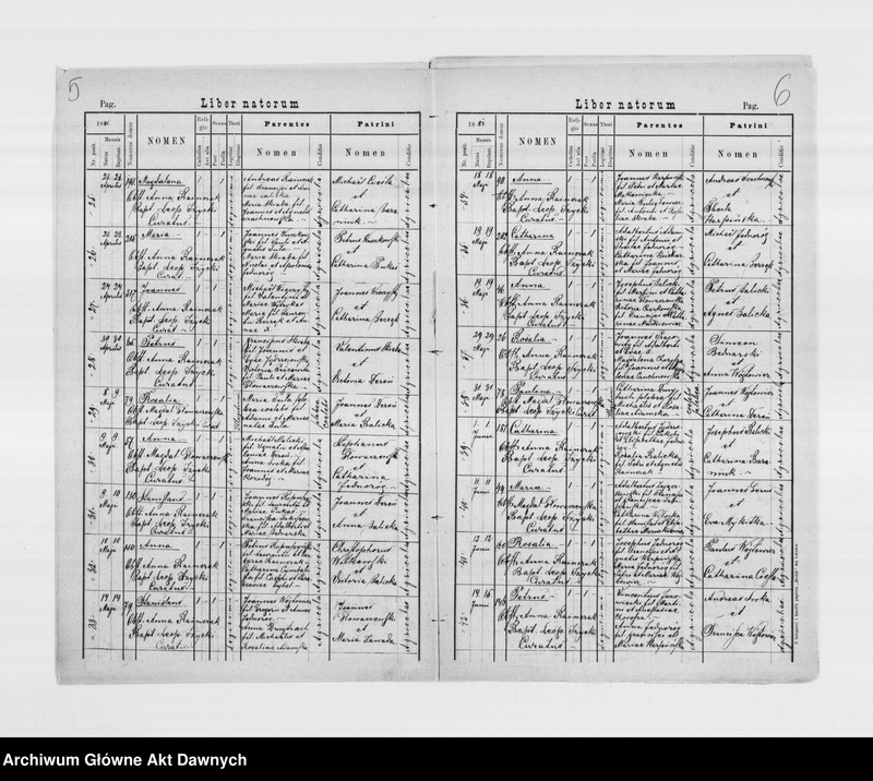 image.from.unit.number "Parafia: Siemianówka. Dekanat: Szczerzec. Kopie z ksiąg metrykalnych ur., śl., zg. dla wsi Siemianówka, Miłoszowice, Chrusno."