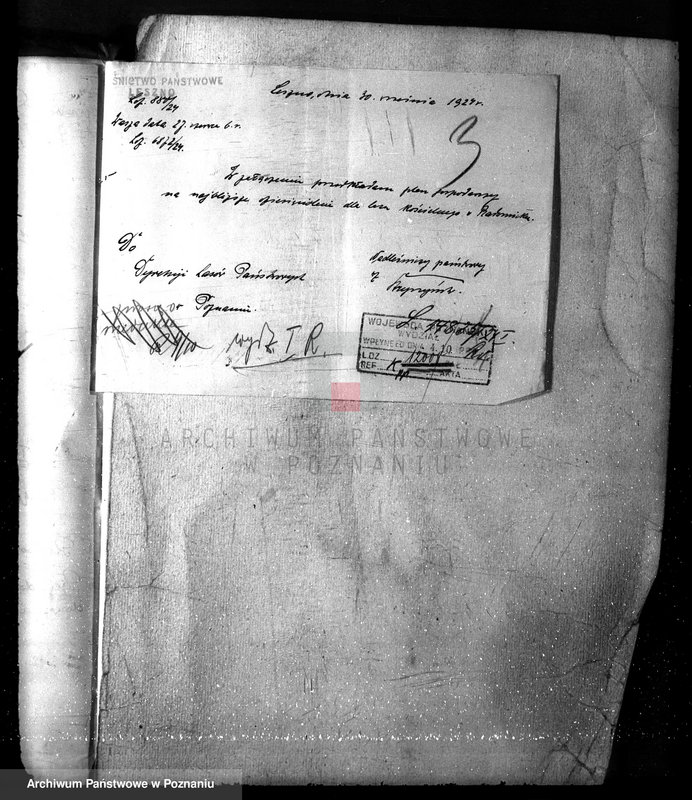 Obraz 7 z jednostki "Las parafialny kościoła w Radomicku powiat kościański"