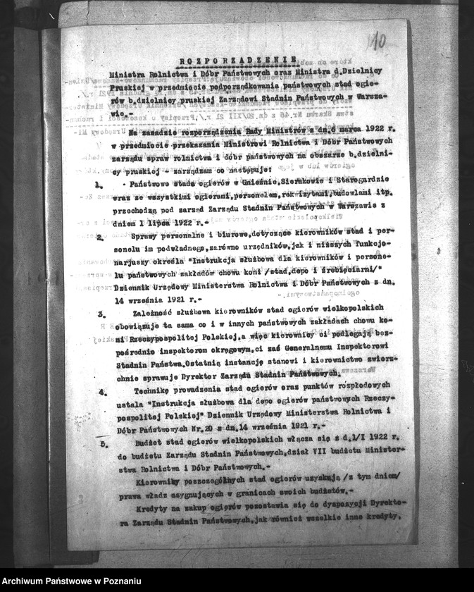 Obraz 14 z jednostki "Konie"