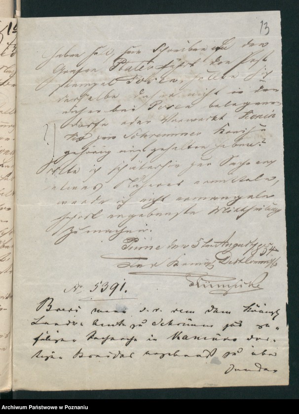 Obraz 17 z jednostki "A. betr. die polnischen Flüchtlinge Valentin, Valerian und Boleslaus Wielogłowski"