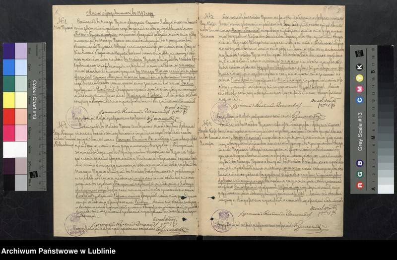 image.from.unit "Księga urodzeń, małżeństw i zgonów"