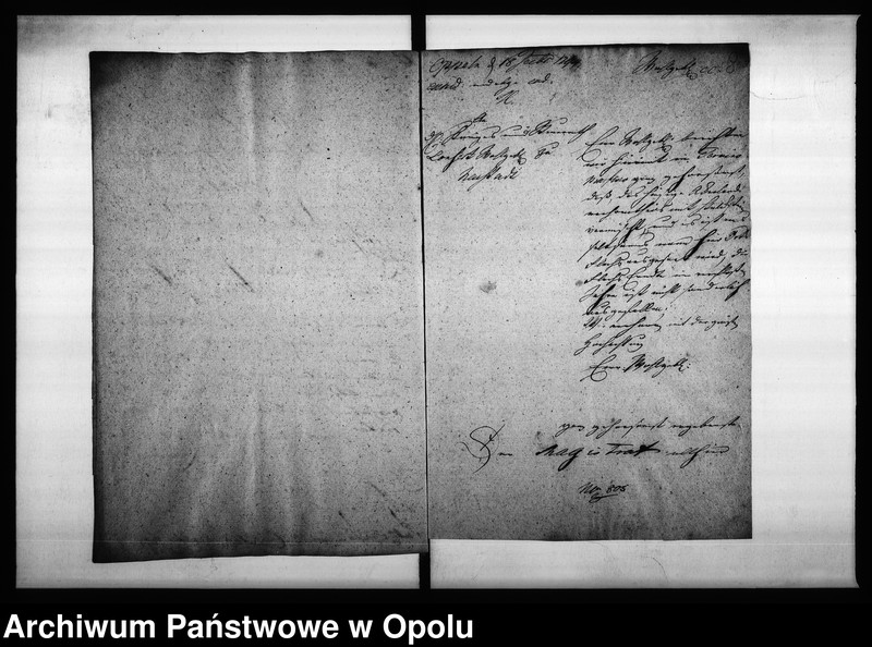 Obraz 12 z jednostki "Acta des Magistrats zu Oppeln von Flachs Anbau und der darüber zu erstattende jährlichen Eingaben"