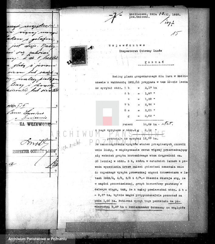 Obraz 18 z jednostki "Nadzór nad gospodarką w lasach majętności Modliszewo powiecie gnieźnieńskim"