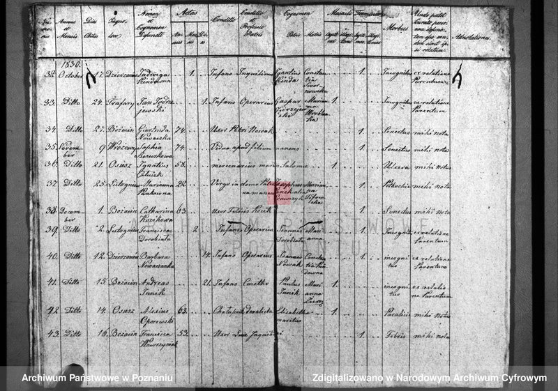 image.from.unit.number "Duplicatum baptisatorum, copulatorum, mortuorum"