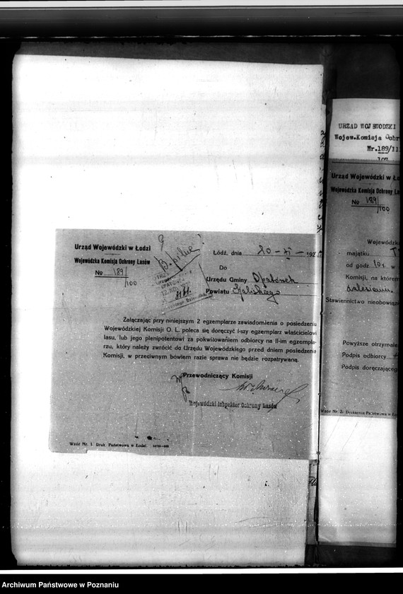 Obraz 13 z jednostki "Sprawa o niedostateczne zalesienie lasu 16,24 ha w majątku Tłokinia"