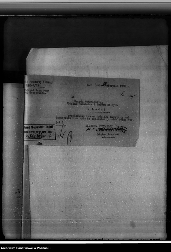 Obraz 11 z jednostki "Gmina Brzeźno powiat koniński /nadzór nad gospodarką leśną/"