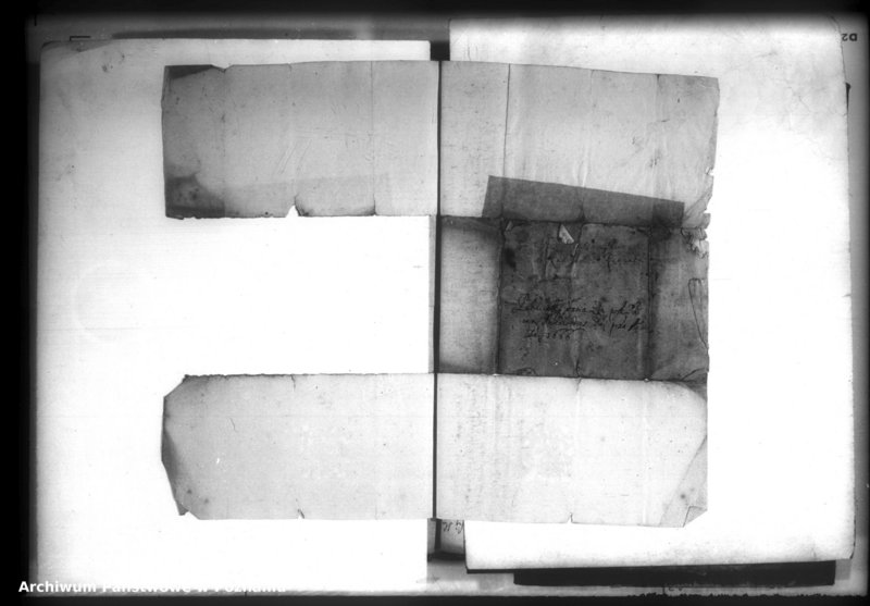 Obraz 20 z jednostki "Lauda [acticantia]"