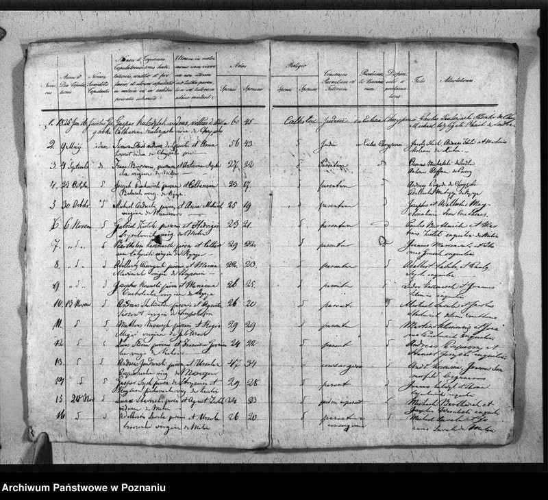 Obraz 4 z jednostki "Duplikat baptisatorum, copulatorum, mortuorum"