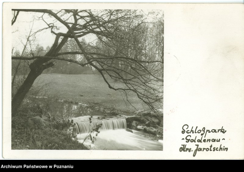 Obraz 1 z jednostki "Gołuchów - fragment parku"