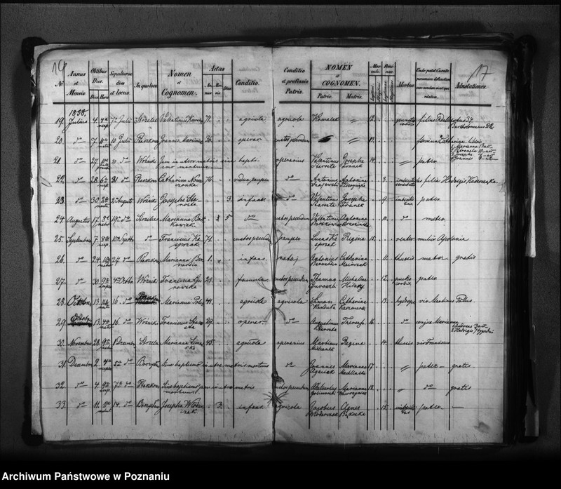 Obraz 13 z jednostki "Liber baptisatorum, copulatorum, mortuorum"
