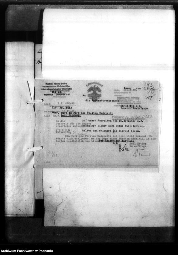 Obraz 17 z jednostki "Helmut Krenz aus Lochowo, Kreis Bromberg (Bydgoszcz)"