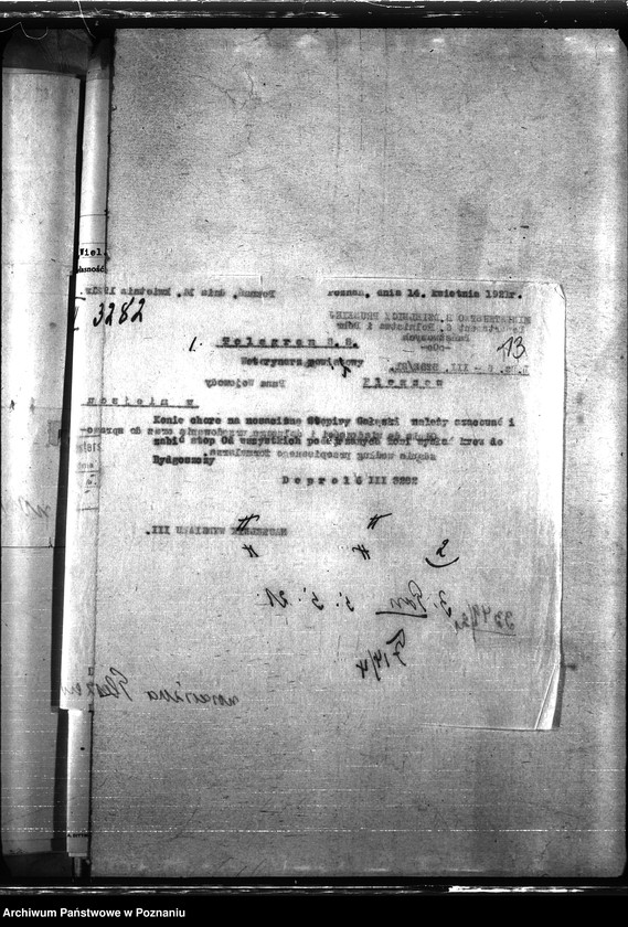 Obraz 17 z jednostki "Nosacizna - Pleszew"