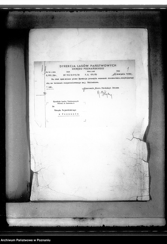 Obraz 5 z jednostki "Operat szacunkowy majątku Zdziechowo powiat gnieźnieński"