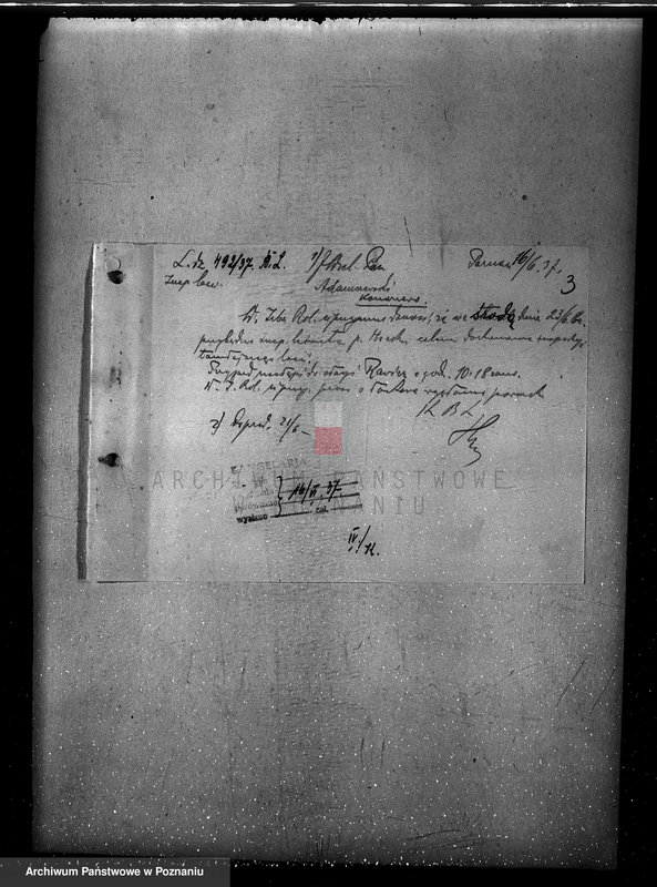 Obraz 7 z jednostki "Nadzór nad gospodarką w lasach Konarzewa powiatu rawickiego"