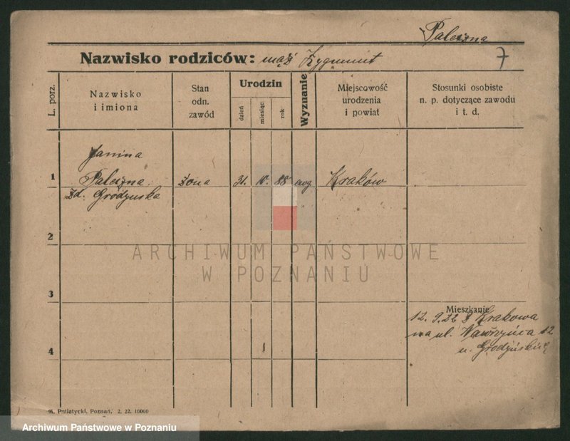 Obraz 7 z jednostki "Palecek - Paluszewski"