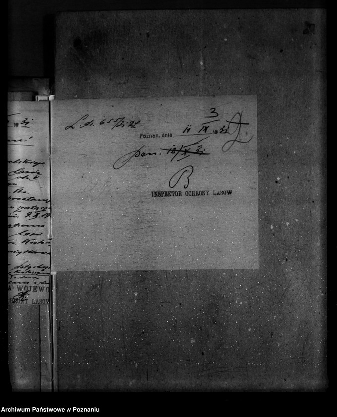 image.from.unit.number "Majętność leśna Dobrzyca powiat krotoszyński"